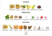 Amouage Outlands (NOW Arriving)